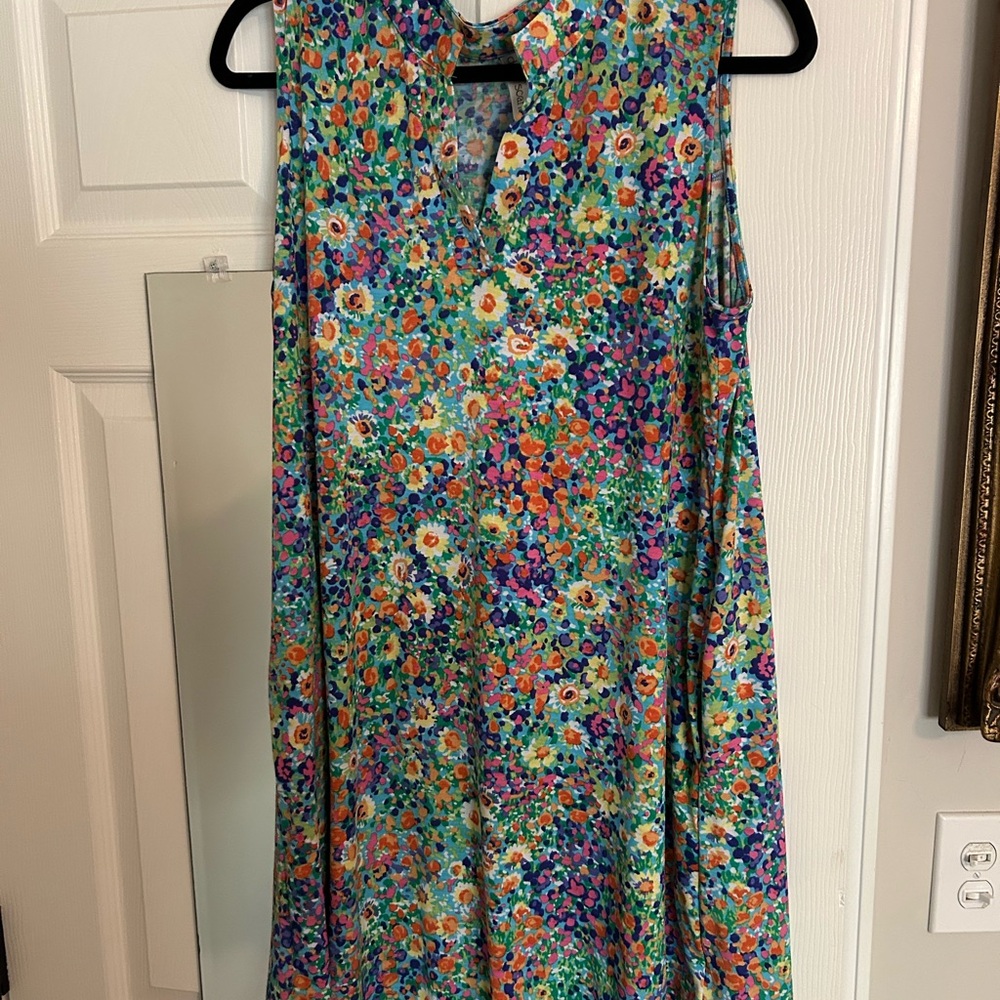 Dear Scarlett Sleeveless Floral A-Line Dress in Multicolor